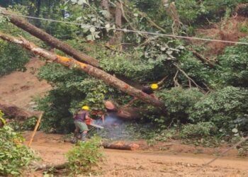 SDRF Swings into Action: Restores Power, Distributes Relief in Flood-Hit Dalu Block