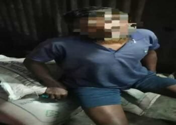 BSF Foils Sugar Smuggling Attempt, Nabs Bangladeshi Smuggler