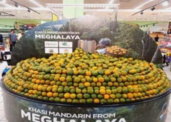 Khasi Mandarin Goes Global: Historic Export to Dubai