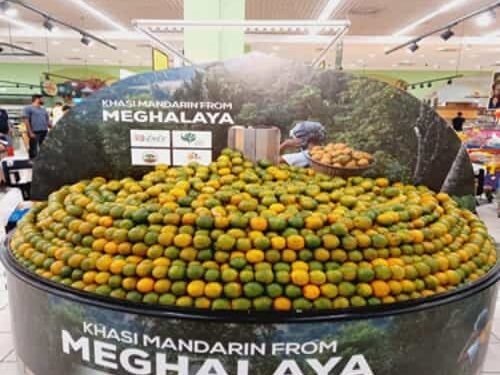 Khasi Mandarin Goes Global: Historic Export to Dubai