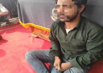 BSF Foils Border Breach: 4 Bangladeshi Nationals Caught in South Garo Hills Sting