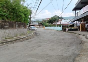 Meghalaya High Court Directs Measures to Control Stray Dog Menace