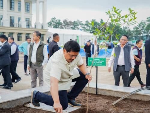 CM Plants Tree, Pledges Green Future