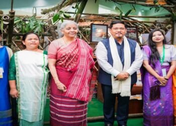 FM Nirmala Sitharaman Lays Foundation for Key Projects in State