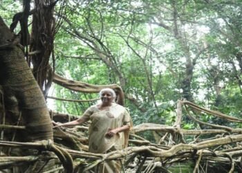 FM Nirmala Sitharaman Praises Meghalaya’s Ancient Living Root Bridges