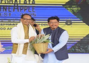 Sweet Success: Meghalaya Pineapple Festival Brings Agricultural Triumph to Delhi