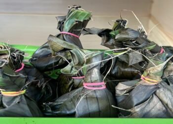 Flavors of Heritage: Garo Hills’ Culinary Gems Shine at Me’gong