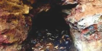 DEATH IN THE DEPTHS: Meghalaya Mine Blast Kills 10, Several Trapped