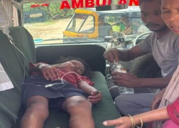 Minutes That Mattered: BSF Saves Girl from Electrocution in Garo Hills