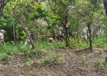 No let-up in Manipur hostage crisis