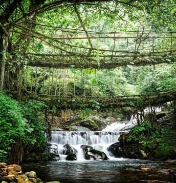 State Pays Communities To Guard Forests As Green Cover Grows