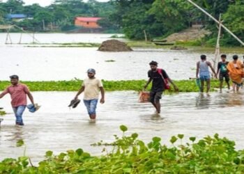 Flood Fury Hits Assam, 22,000 Displaced