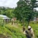 Bomb Strike on Manipur’s Leilon Vaiphei Injures 3, Kuki Body Slams Security Lapse