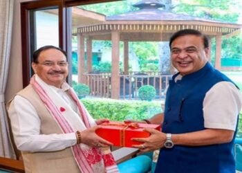 Sarma Pitches Assam As Health Hub To Nadda, Updates VP On Growth Track