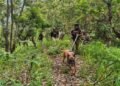 Three shot dead in Manipur violence rerun