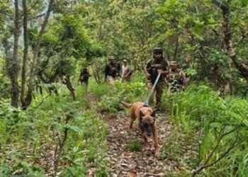 Three shot dead in Manipur violence rerun