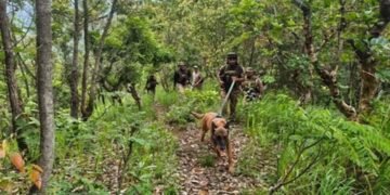 Three shot dead in Manipur violence rerun