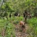 Three shot dead in Manipur violence rerun