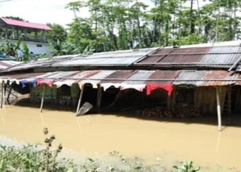 “30 Dead”: Assam Floods Worsen, CM Reviews Crisis