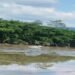Assam Floods: Death Toll Rises To 68, Over 4.4 Lakh Still Stranded