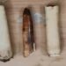 “Tusk And Scales Bust”: State Forest Dept Nets Traffickers In Back-To-Back Raids