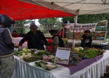 From Farm to City: State’s Farmers’ Market Serves Fresh Success in 8th Edition