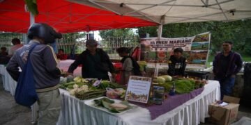 From Farm to City: State’s Farmers’ Market Serves Fresh Success in 8th Edition