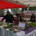 From Farm to City: State’s Farmers’ Market Serves Fresh Success in 8th Edition