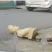 Statues Smashed: Vivekananda, Netaji’s Bust Vandalised In Shillong Rally Violence