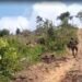 Ethnic clash erupts in Manipur; 1 killed